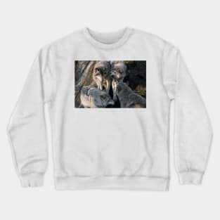 Gray Wolves Crewneck Sweatshirt